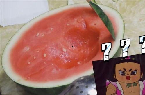 迷惑人吃瓜,揭秘迷惑人吃瓜背后的真相与内幕