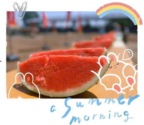 神仙吃瓜现场视频,揭秘娱乐圈幕后风云