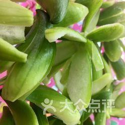 小角瓜花怎么吃,创意烹饪指南