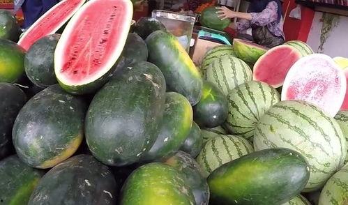 普通的吃瓜人,吃瓜群众视角下的平凡人生百态