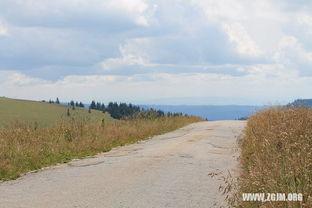 梦见摘老瓜吃,揭秘摘老瓜吃的神秘寓意