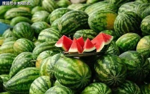 吃瓜路边人,揭秘吃瓜路人的趣味生活