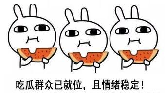 吃瓜悔恨全集,揭秘娱乐圈背后的真相与反思