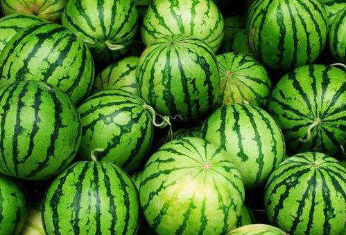 发烧可以吃瓜西,瓜西生成美味佳肴，助你恢复健康