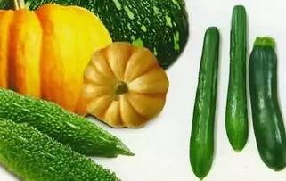 无聊时候吃的瓜,揭秘娱乐圈那些让人捧腹大笑的瓜