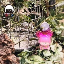 吃瓜草莓小熊,揭秘萌宠美食日记