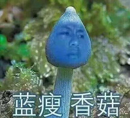 蓝瘦香菇吃瓜,揭秘网络热词背后的故事