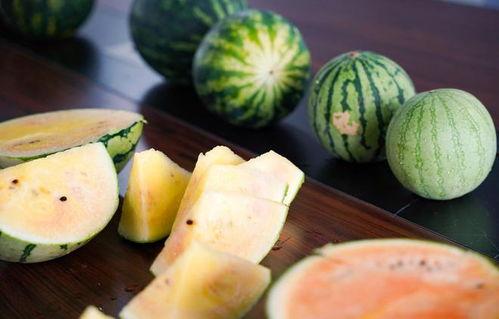 小鸡盒子破解吃瓜