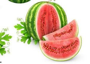 108和778吃瓜,揭秘吃瓜背后的故事与真相