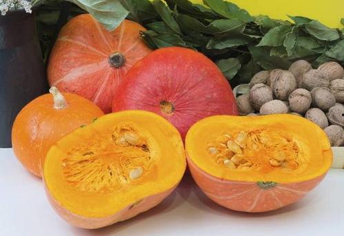 108和778吃瓜,揭秘吃瓜背后的故事与真相