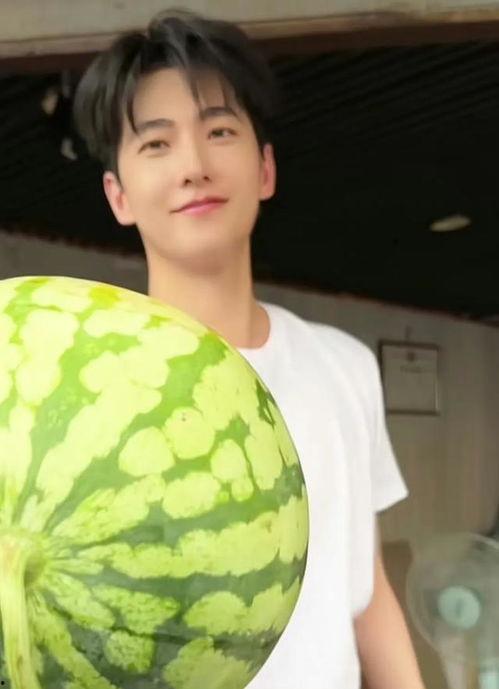 吃瓜真人图,揭秘吃瓜真人图背后的故事与真相