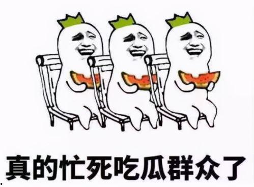 小流吃瓜群众,揭秘娱乐圈幕后故事